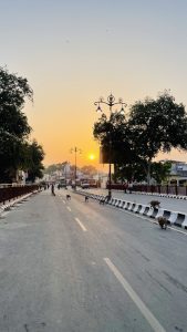 An empty street at sunrise or sunset, with a few monkeys on the road and sidewalks.