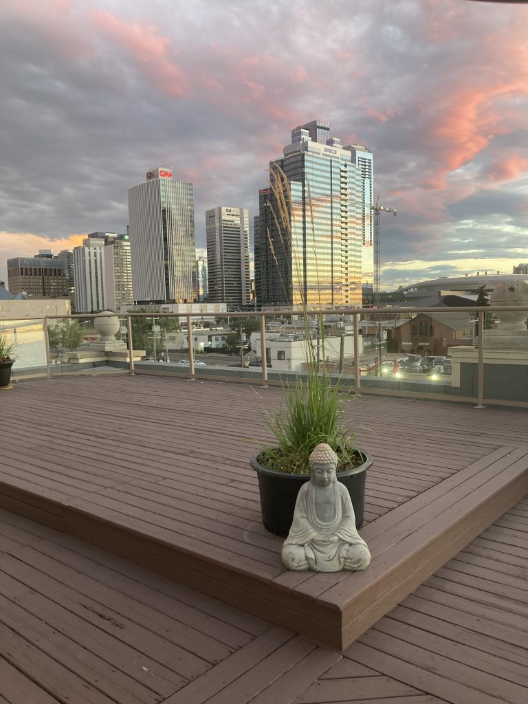 A rooftop deck with wooden flooring featuring a potted plant and a Buddha statue in the foreground. In the background, a cityscape with modern skyscrapers is visible under a sky with pink and gray clouds at sunset.