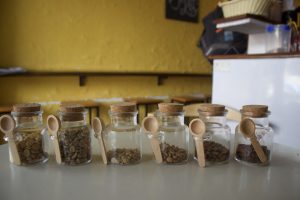 Six glass jars with cork lids containing coffee beans, each accompanied by a small wooden spoon, arranged on a table against a yellow background.