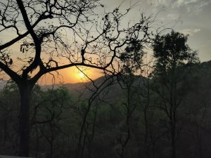 A sunset view with the sun partially hidden behind a hill, silhouetting the branches of trees in the foreground against a dimly lit sky.