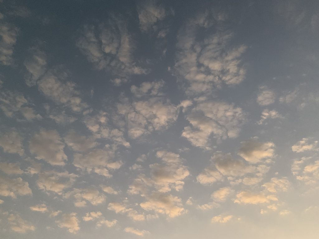 A sky with scattered fluffy clouds, illuminated with a soft, warm light, suggesting a time around sunrise or sunset.