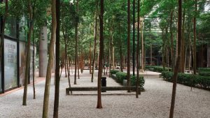 A serene park scene featuring a bench surrounded by lush trees in the background, inviting relaxation and nature appreciation.
