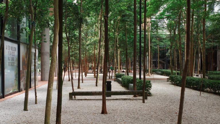 A serene park scene featuring a bench surrounded by lush trees in the background, inviting relaxation and nature appreciation.