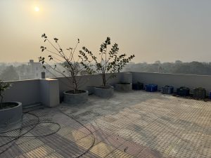 A rooftop garden with several potted plants in large containers and smaller plants in blue crates, under a hazy sky with the sun visible. There’s a background view of buildings and trees in the distance.
