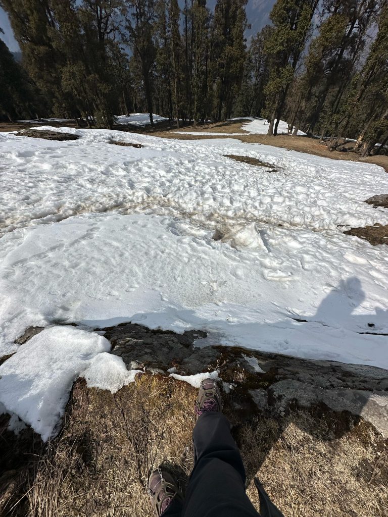 A person standing on a grassy and rocky area at the edge of a snowy slope with trees in the background. The person’s shadow is visible on the snow.