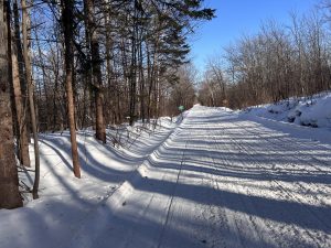 Snowmobile trail in Wisconsin. 