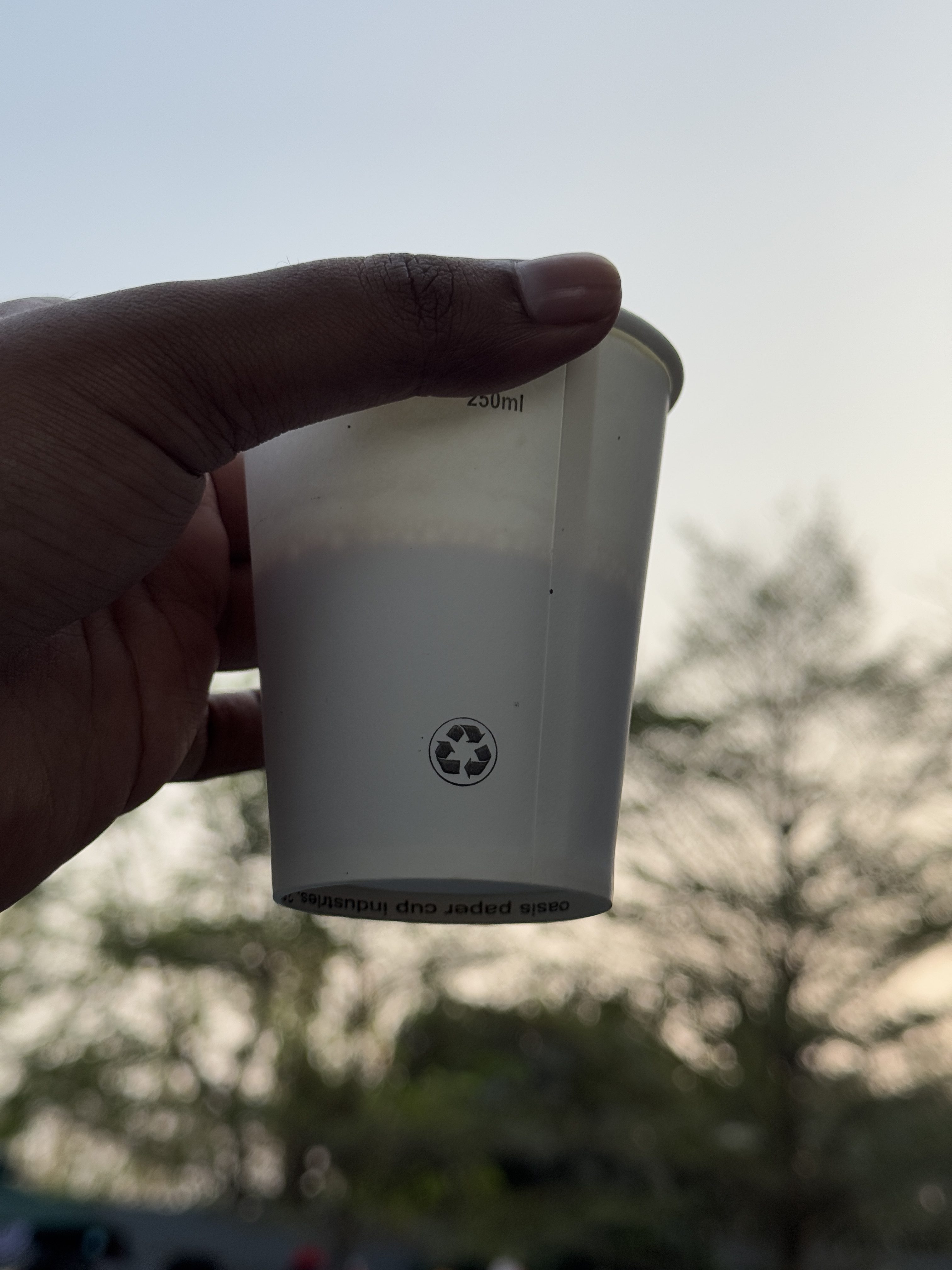 
A hand holding a white paper tea cup against a blurred outdoor background. 