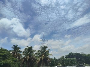 A clear blue sky with scattered clouds above a row of palm trees and lush greenery. A tall metal electricity pylon stands in the background with power lines extending across the sky.
