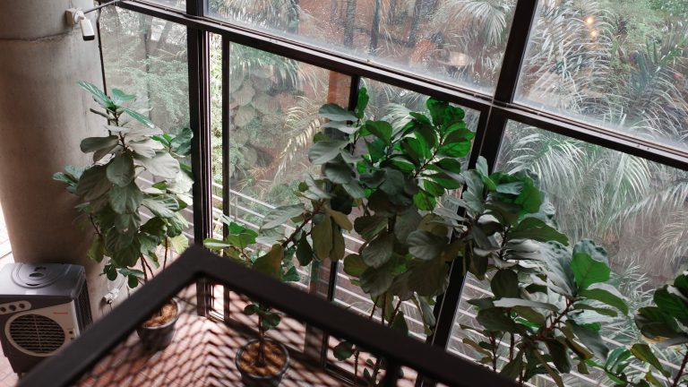 A balcony adorned with various plants, featuring a window that enhances the view of the outdoor space.