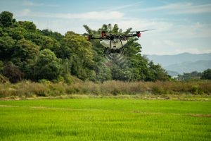 A drone spraying water over a lush green agricultural field with a backdrop of dense trees and distant mountains under a clear sky.
