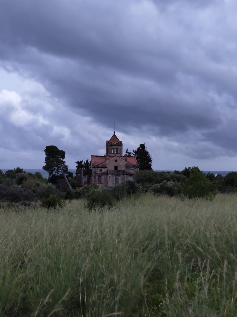 A ruined house rises among the undergrowth, its dark silhouette under the stormy sky, as if hiding a haunting secret.