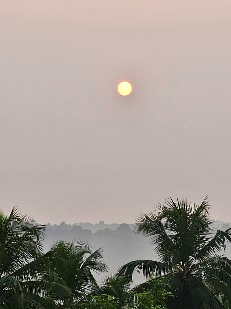 Sunrise through the coconut trees. From Malappuram, Kerala.