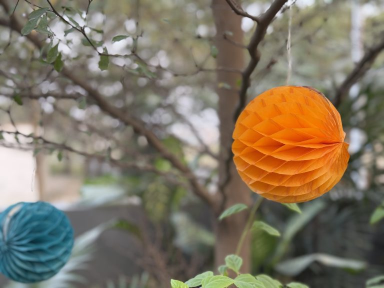 Colorful orange and blue paper ball  decorations elegantly draped from a tree, creating a cheerful ambiance.