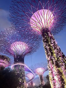 Illuminated futuristic tree-like structures covered in greenery, with a glowing walkway connecting them against a twilight sky.