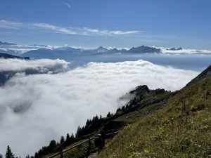 A scenic view of a mountain landscape with a grassy slope in the foreground and a sea of clouds below. Peaks of distant mountains rise above the clouds under a clear blue sky.