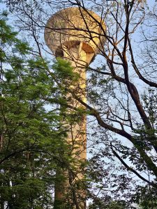 A long view of a water tank through tree branches. From Pune, Maharashtra.