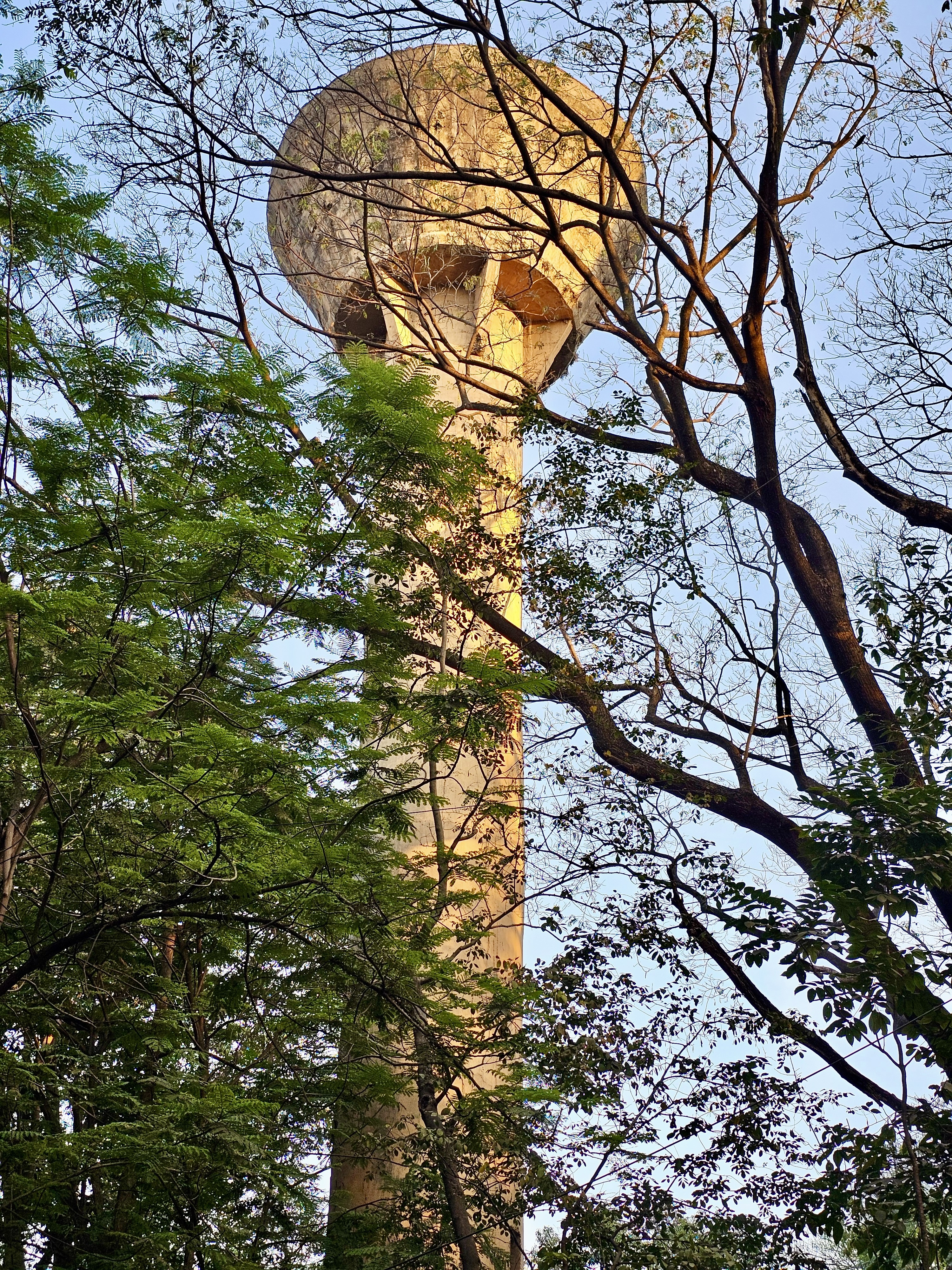 A long view of a water tank through tree branches. From Pune, Maharashtra.
