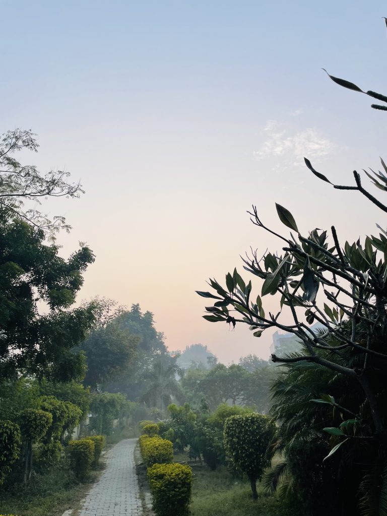 A serene pathway lined with neatly trimmed shrubs and lush greenery leads into the distance.