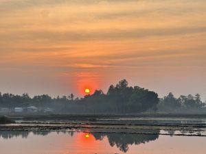 A serene sunset over a rural landscape with a bright orange sun descending near the horizon. Trees and small houses are silhouetted against the colorful sky, and a calm body of water reflects the scene, enhancing the tranquil atmosphere.