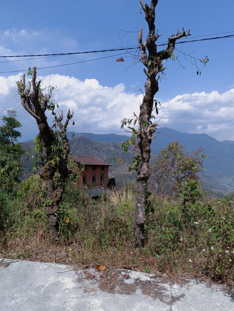 A scenic view of a rustic building partially obscured by trees on a hillside, with mountains in the background under a clear blue sky.