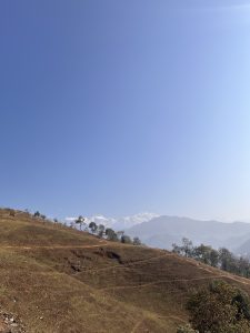 广阔的山坡上散布着零星的树木和蜿蜒的泥土小径，背景是蓝天下积雪的群山。