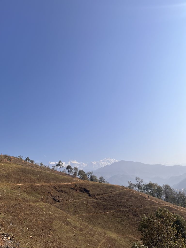 A vast hillside with scattered trees and winding dirt trails, set against a backdrop of snow-capped mountains under a clear blue sky.