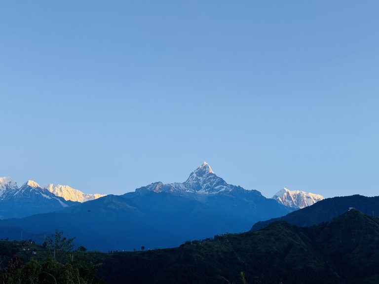 A panoramic view of a Fishtail mountain range with snow-capped peaks under a clear blue sky, featuring lush green hills in the foreground. The scene is bathed in soft sunlight, highlighting the textures and contours of the landscape.