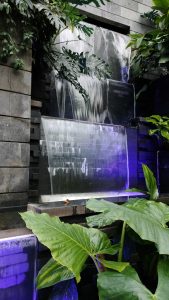 A tranquil cascading waterfall surrounded by lush greenery and illuminated with calming purple lights, creating a serene and peaceful ambiance. Located within the Jewel Changi Airport, Singapore, this beautiful water feature complements the indoor garden’s natural aesthetic.
