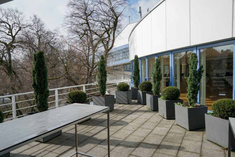 A rooftop terrace with potted plants arranged along a railing overlooking leafless trees. The plants are placed in rectangular gray planters and include tall, narrow evergreens and round, trimmed bushes.