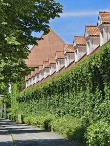 A long wall covered in green ivy with a row of dormer windows and a red-tiled roofline. The wall runs along a paved path, and there are trees and greenery on both sides. Captured from Munich, Germany. 