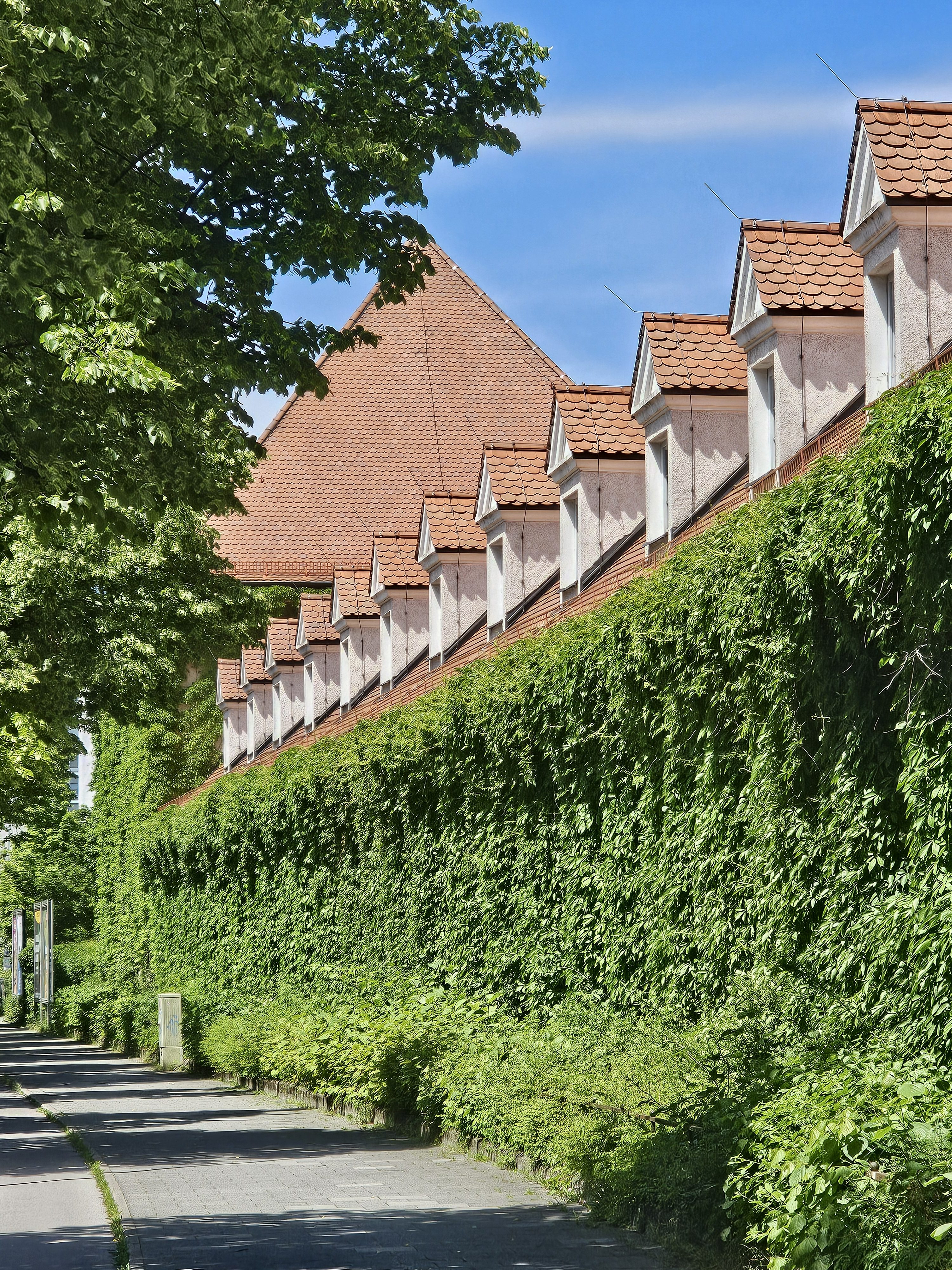 A long wall covered in green ivy with a row of dormer windows and a red-tiled roofline. The wall runs along a paved path, and there are trees and greenery on both sides. Captured from Munich, Germany.