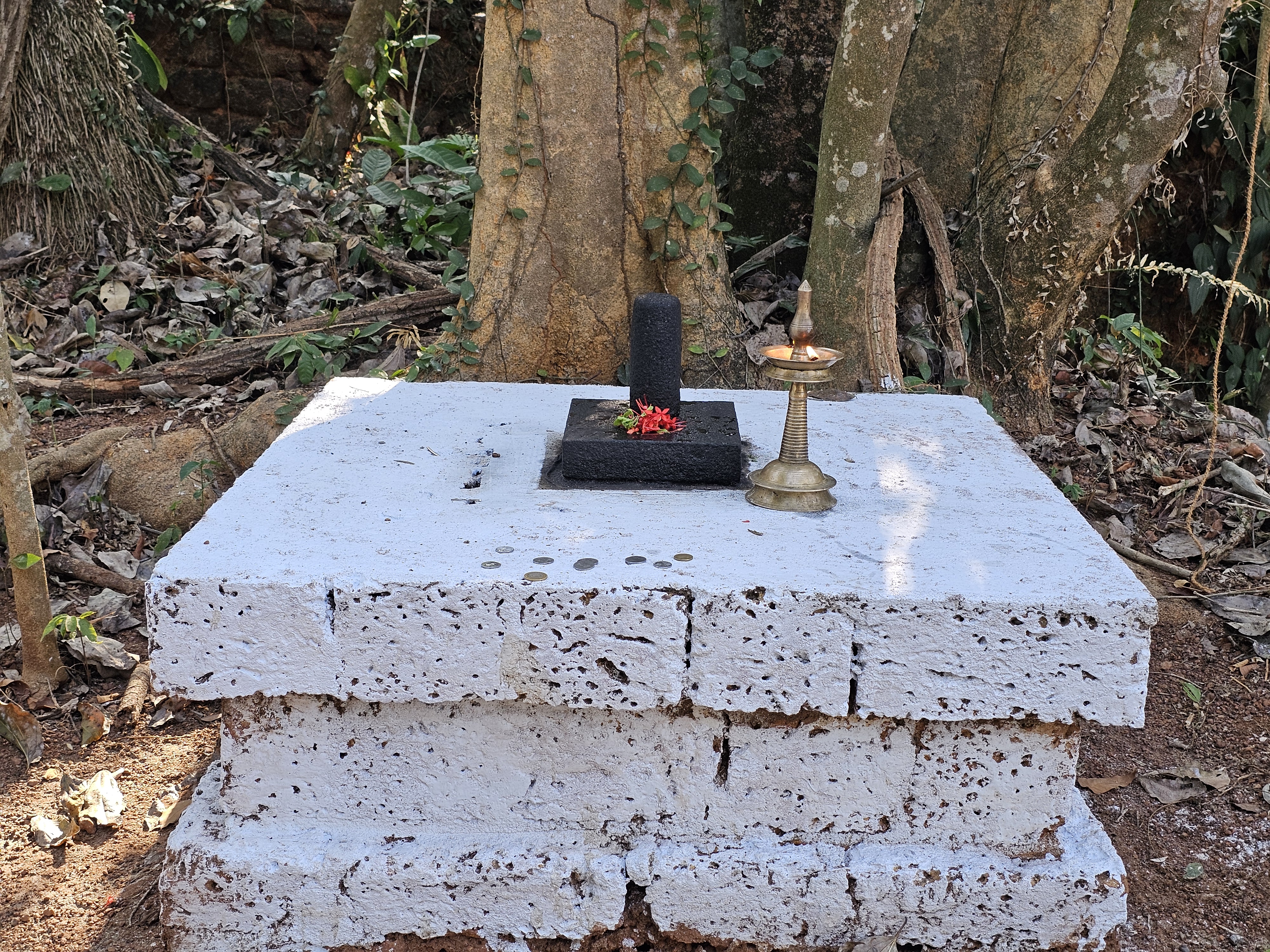 A small outdoor shrine, in Kozhikode, Kerala. It has a square platform made of laterite stone blocks painted white, with a black stone lingam on top, decorated with red flowers. A brass oil lamp with a lit flame stands beside it, surrounded by trees and nature.