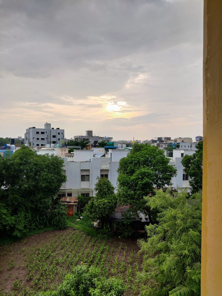 A photo from a window showcased the beautiful sunset and green lush trees around the apartment complex.