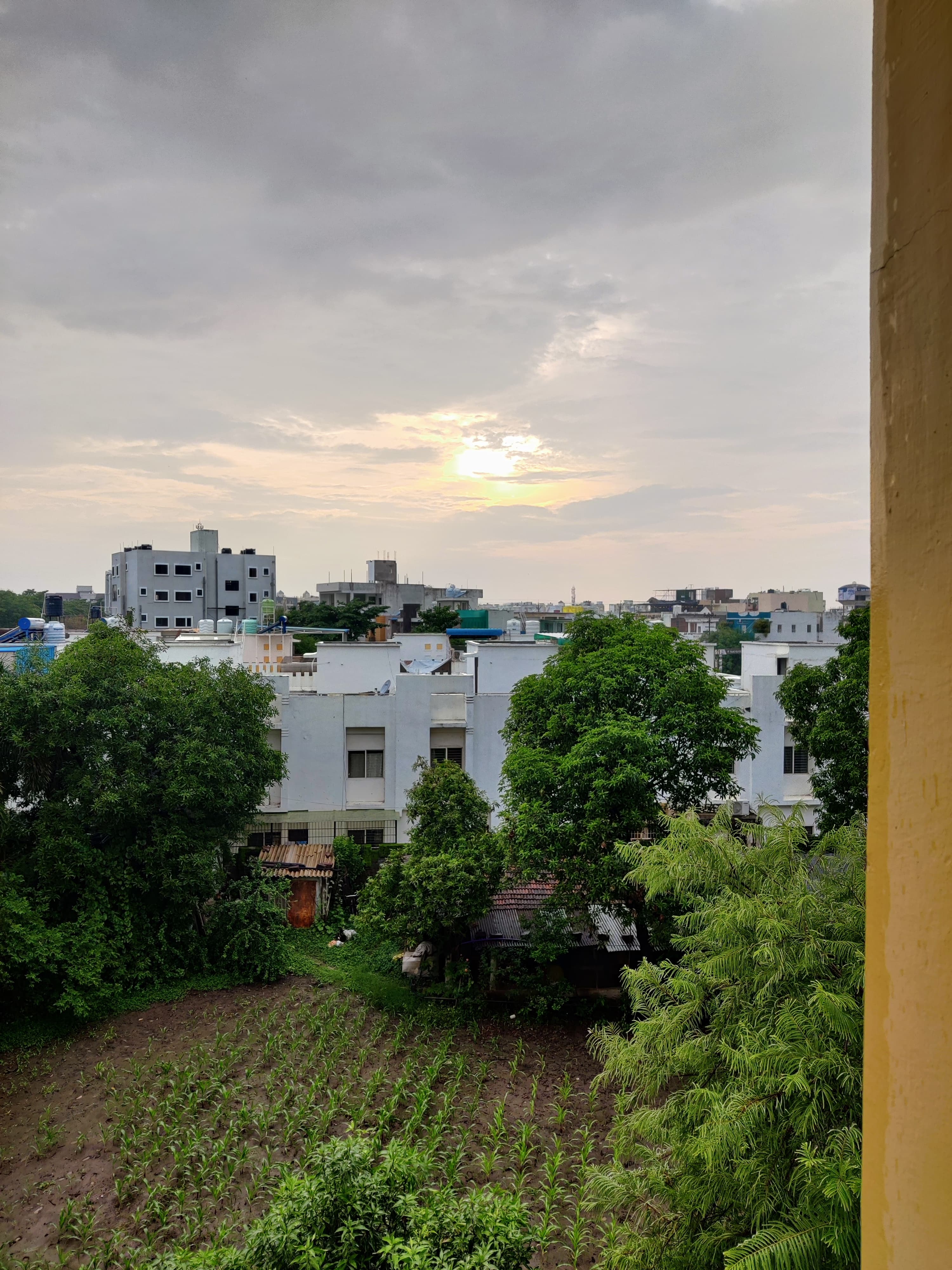 A photo from a window showcased the beautiful sunset and green lush trees around the apartment complex. 