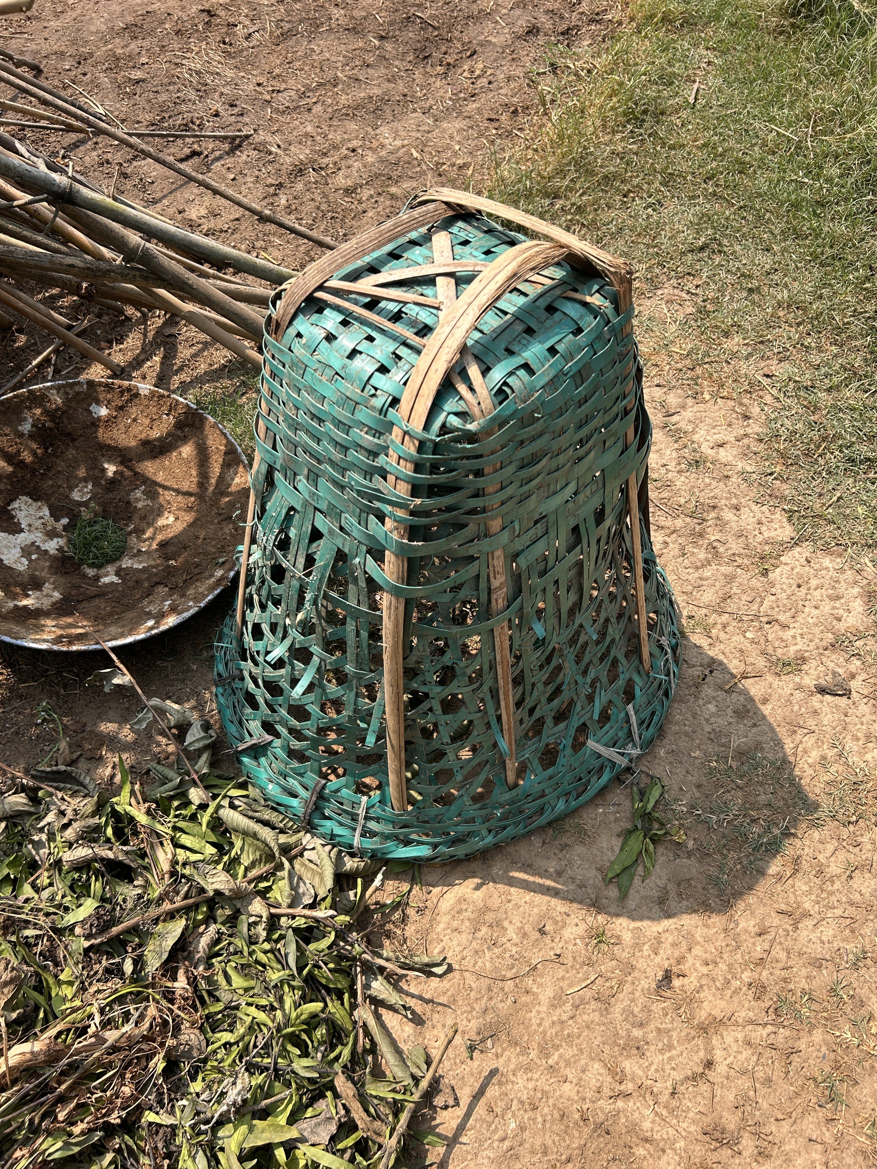 A green woven basket sits upside down on the ground next to a pile of dry leaves and sticks. There are a few cut bamboo sticks beside it. The area is a mix of dry dirt and patches of grass.