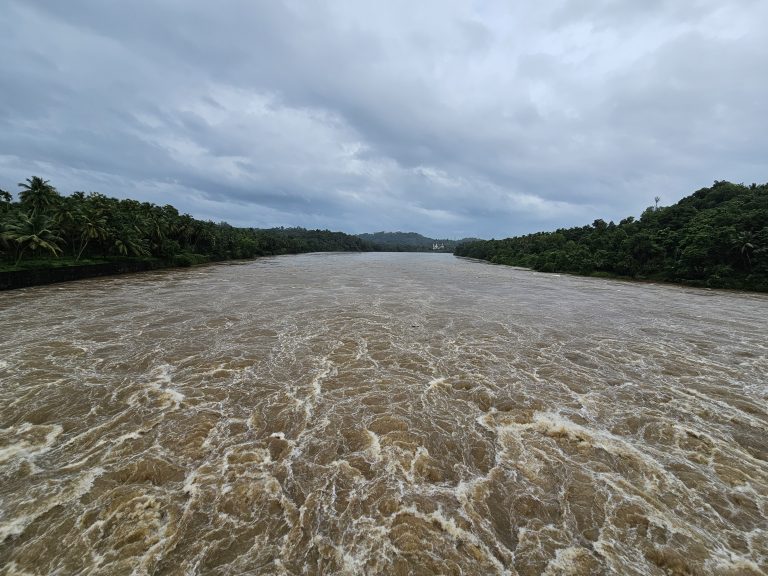 The Chaliyar River surges, its waters brown and turbulent, swollen by persistent heavy rainfall. Lush, vibrant vegetation, particularly palm trees, fringes both banks. A view from the Oorkadavu Regulator Cum Bridge in Kozhikode.