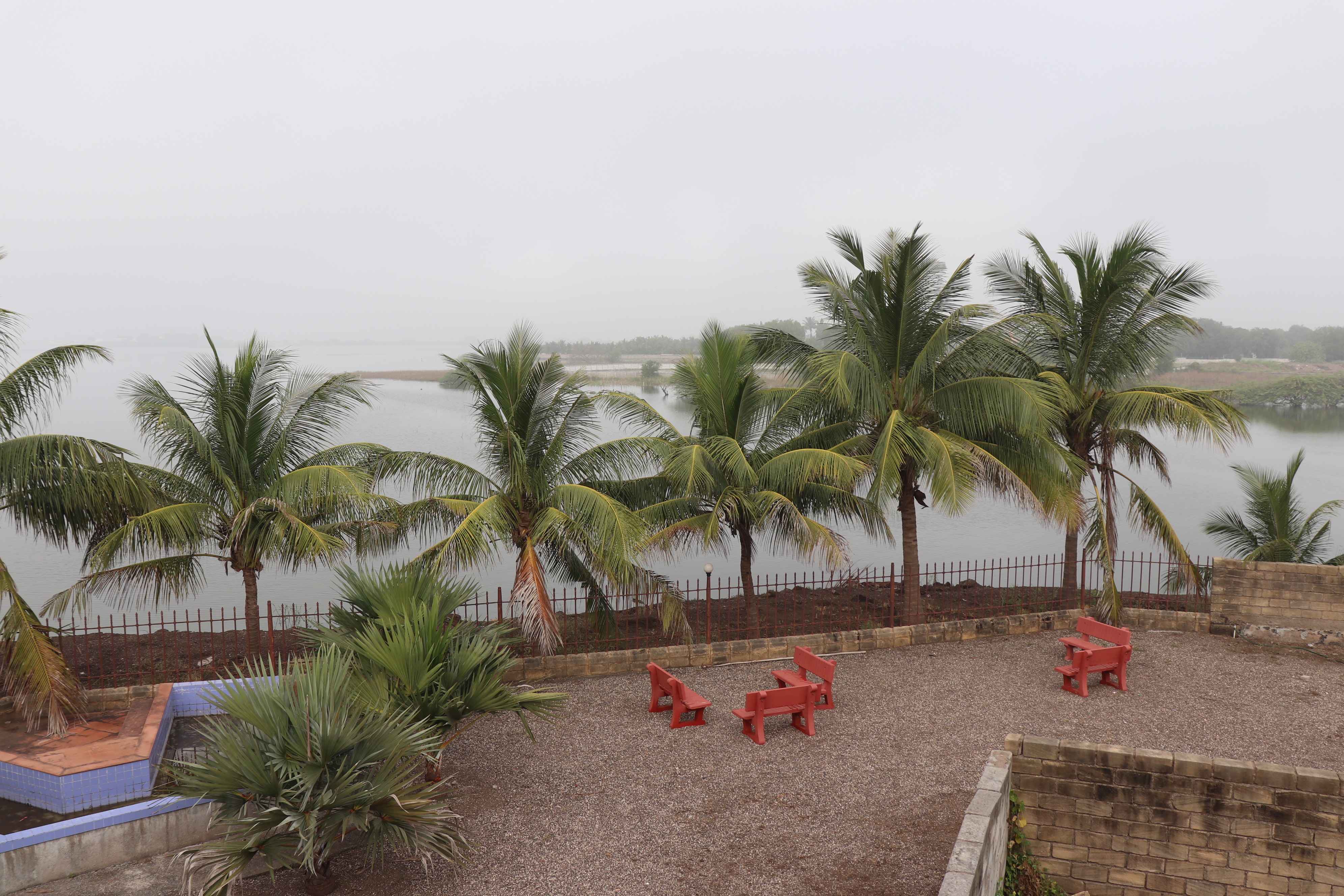 A serene outdoor setting featuring a line of coconut palm trees alongside a calm body of water. In the foreground, there are several red benches on a gravel-covered area, enclosed by stone walls and a fence. The sky appears overcast, enhancing the tranquil atmosphere.