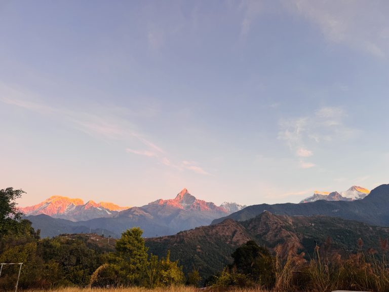 This is a stunning morning view of Machhapuchhre Mountain from Gharmi Dada, Pokhara with the golden sunrise illuminating the snow-capped peaks and rolling green hills below.