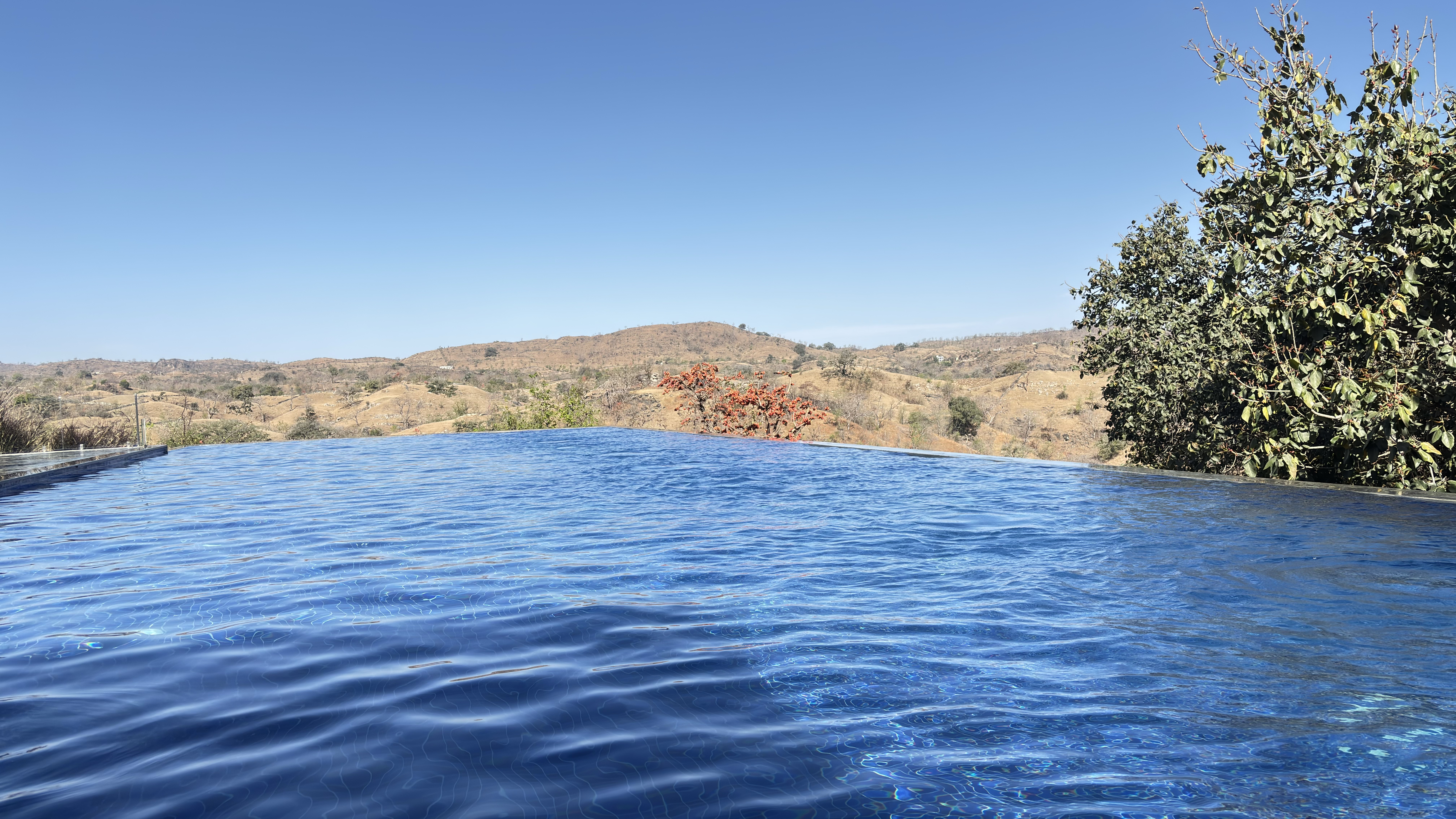 Infinity pool with a view of a dry, hilly landscape under a clear blue sky, with trees bordering the right side of the pool.