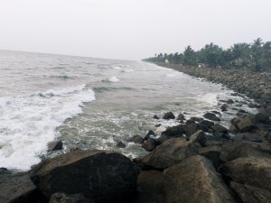 Rocky shoreline with waves crashing against the rocks, a line of palm trees along the coast under a cloudy sky.