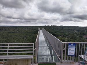A long glass bridge extends over a lush, green landscape filled with dense trees.