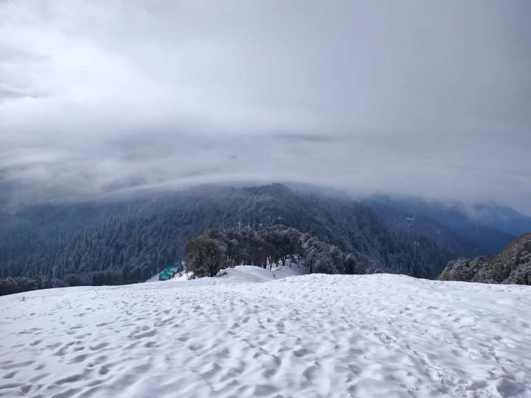 The photo showcases a serene snow-covered landscape with a thick layer of snow in the foreground. In the middle ground, a cluster of trees dusted with snow stands before a dense forest of tall evergreen trees. The background features misty, fog-covered mountains, with clouds merging into the sky, creating a peaceful, wintery atmosphere.