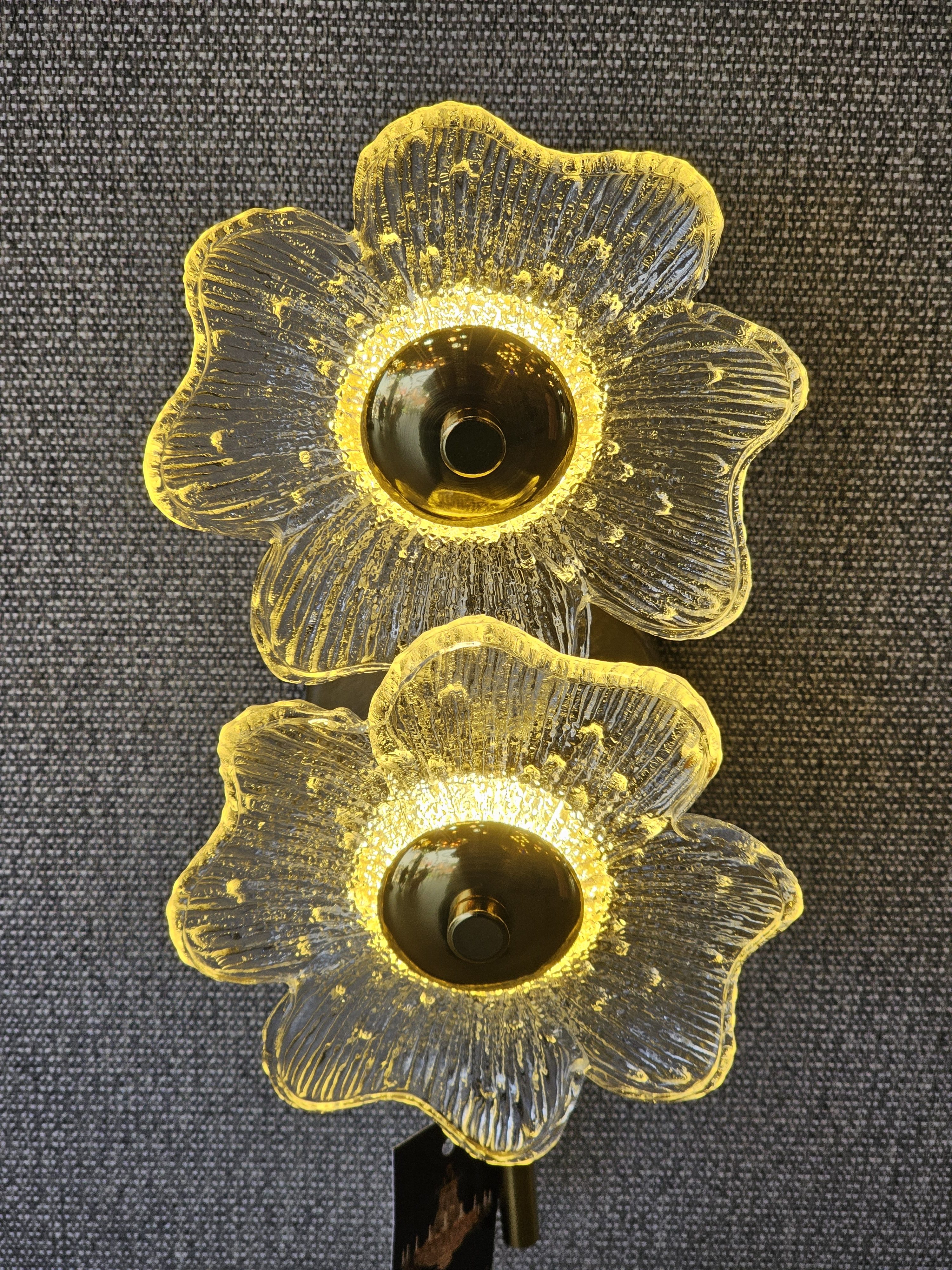 Two flower-shaped wall lamps, one above the other, illuminated against a textured gray background. The lamps have clear, textured glass petals and a warm, glowing center, resembling stylized blossoms. Captured from an electrical shop in Kozhikode.