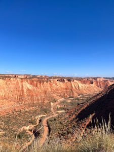 A scenic view of a winding dirt road through a rugged desert canyon, with red and orange rocky cliffs under a clear blue sky. Sparse vegetation covers the landscape.