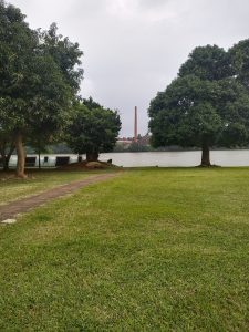 A grassy area with a stone pathway leading toward a body of water.