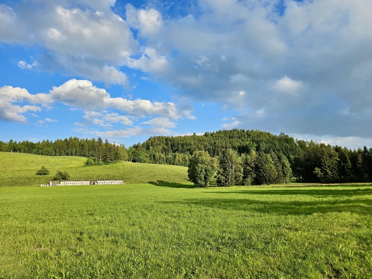 A vibrant green meadow under a blue sky dotted with fluffy white clouds in Zug, Switzerland. A line of trees borders the meadow in the mid-ground, and a forested hill rises in the background.