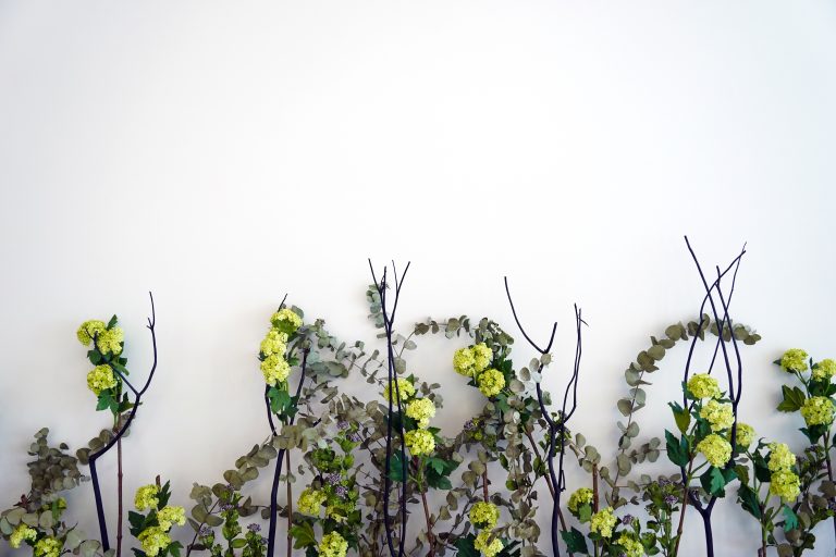 A decorative arrangement of green hydrangea flowers, eucalyptus leaves, and bare branches against a plain white background.