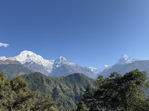 
A scenic view of snow-capped mountains under a clear blue sky, with lush green hills and trees in the foreground.
