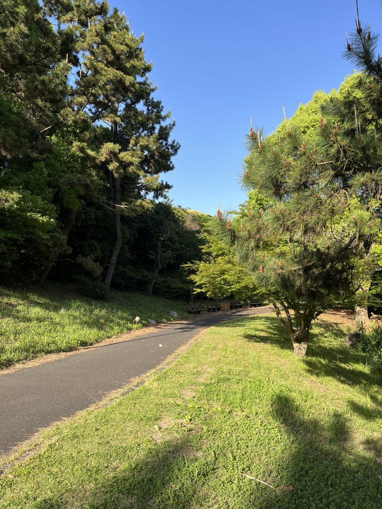 Road is surrounded by Green Nature under Blue Sky