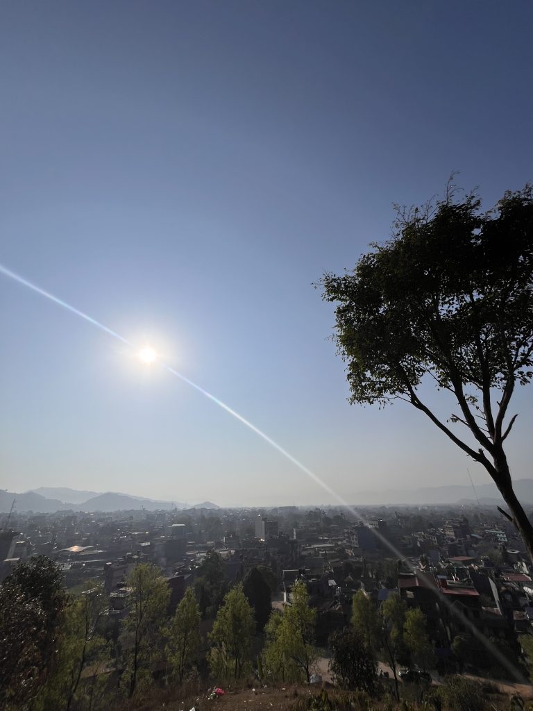 A panoramic view of a city under a clear blue sky, with a bright sun casting a lens flare. The foreground features a variety of green trees, while a large tree with dense foliage is positioned on the right side. Distant hills are visible in the background.